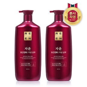 리엔 자윤 지성 샴푸 950ml x 2개