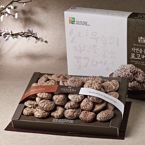 국내산 표고버섯 흑화고 선물세트 500g