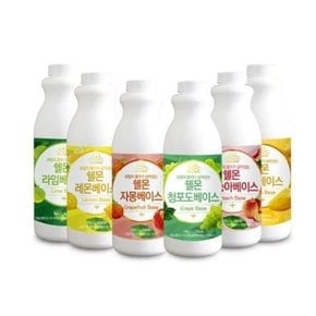 쉘몬 과일 농축액 베이스 1kg 원액 시럽 음료베이스 과육 스무디주스