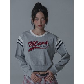 COLORSCHEME LOGO CROP TSHIRT_GRAY WINE