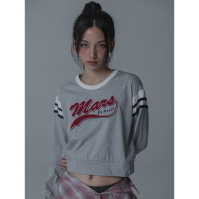 COLORSCHEME LOGO CROP TSHIRT_GRAY WINE