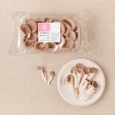  고기 느타리버섯 (300g내외)