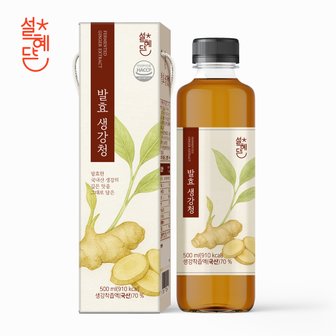 홀라이프 설혜담 발효생강청 500ml x 1병
