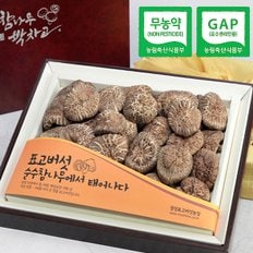 [1/24(금)오후1시 주문마감][웰굿]무농약GAP인증 표고버섯 사각흑화고세트(흑화고450g)