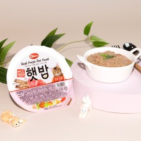 애묘비책 햇밥 참치스튜 100g.애견비책