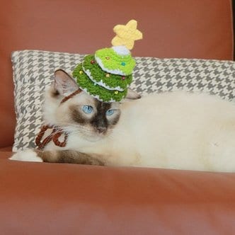 스토어봄 도그웨그 강아지 미니 트리 모자 크리스마스 고양이 악세사리.도그웨그