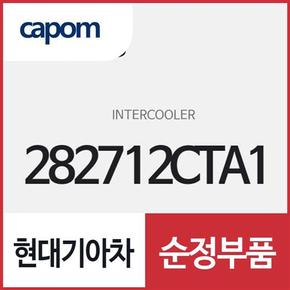 인터 쿨러 (282712CTA1) 스팅어