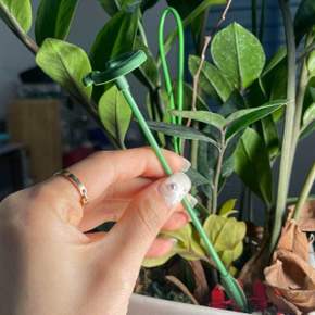 화초 화분 식물지지대 17cm 토마토 꽃