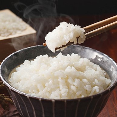 당일도정 철원 오대쌀 10kg 2023년 햅쌀 동철원농협