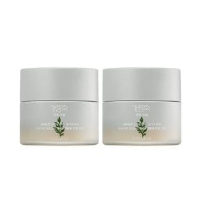 [미샤] 개똥쑥 진정 크림 50ml 2개 SET[33416603]