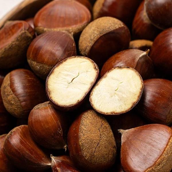 확대된 대표 국내산 햇밤 특 1kg 담백 고소한 제철 간식 꼼꼼 선별(1)
