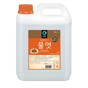 대상 청정원 물엿 9kg 2팩