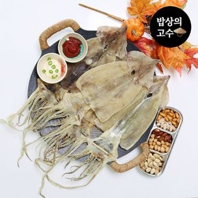 구룡포 마른오징어 20마리 1축 1.7kg 동해 국산오징어