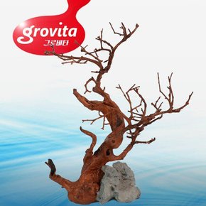 그로비타 가지유목 장식소품(TB226A)어항 장식 수조 꾸미기 은식처 놀이터