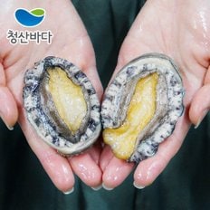 완도 활전복 중소 22-25미 1.5kg (약 33-38마리) (선물포장가능)