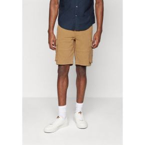 4567573 Hollister Co. CARGO - Shorts ermine