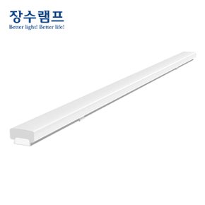 LED 주차장등 60W 1200mm 직부등 레이스웨이 일자등