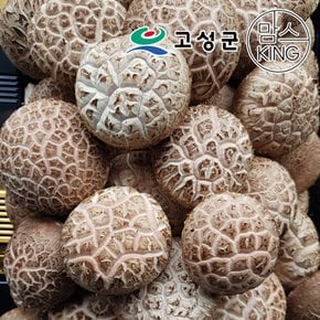 [공룡나라]고성 웅이표고농장 생표고버섯(생표고/하품1kg)