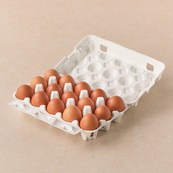 목초란 15구 (대란, 780g)