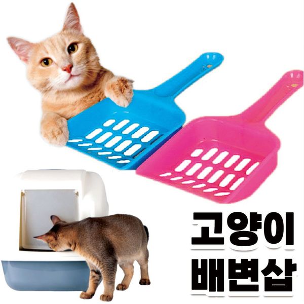 확대된 대표 이미지1