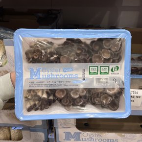 코스트코 무농약 느타리버섯 1kg