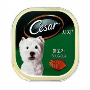 시저캔불고기1세이상100gx24개