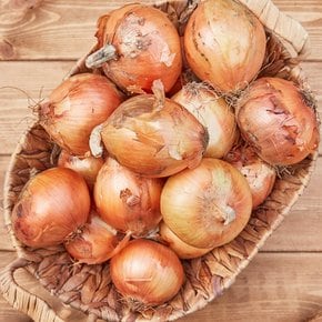 국내산 양파 5kg (중)