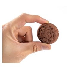 타타와 초콜릿 쿠키 600g (10g x 60개입) 대용량 초코쿠키 개별포장