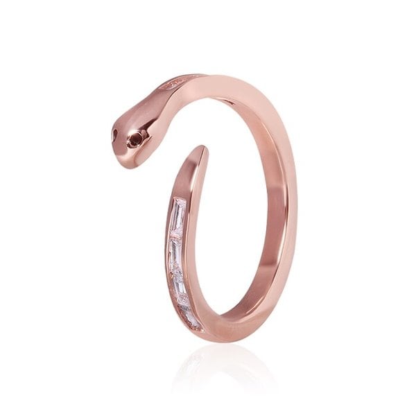 디네이크 반지(free,L) RA0609