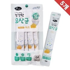 Peer 고양이 장운동 유산균 치즈 15g 4개입 5개 (WDE0562)