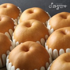 [SSG상품권증정이벤트][과일선물세트] 신고배선물세트 7.5kg2호(11~12개입)