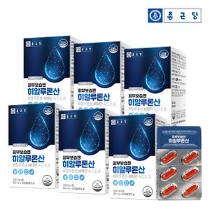 종근당 피부보습 엔 히알루론산 950mg X 30캡슐 - 6박스 (6개월분)