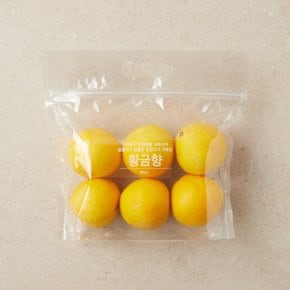 달달 과즙 황금향 4~8입/봉 (1.2kg)