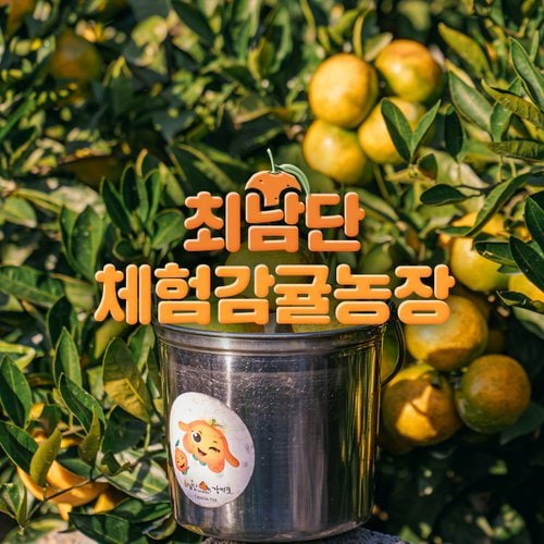 상품이미지1