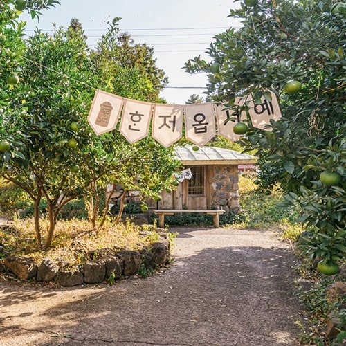 상품이미지5