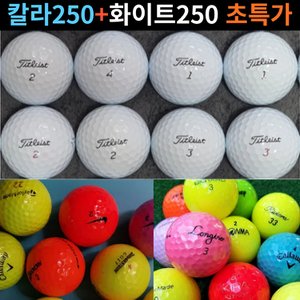 브리지스톤 250+250 골프 중고 정품 스크린 라운딩 연습용 로스트 볼 공 500 알