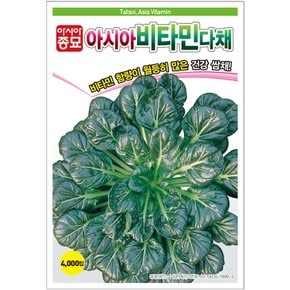 다채씨앗종자 아시아비타민 다채(600g)