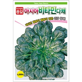 아시아종묘 다채씨앗종자 아시아비타민 다채(600g)