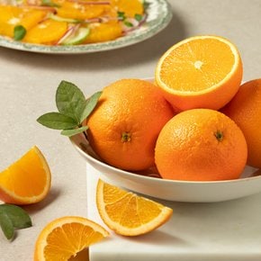 [미국산] 네이블 오렌지 6~11입/봉 (2.1kg내외)