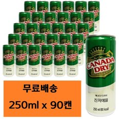 캐나다 드라이 진저에일 250ml x 90캔 진저엘