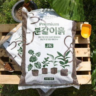 NUVO 닥터조 프리미엄 분갈이흙 10L