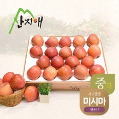 알뜰 못난이사과(중과) 4.5kg 1box / 청송산 미시마, 당도선별