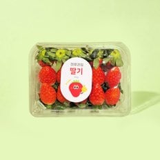 SSG 하루과일 장희딸기250g/팩