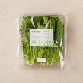 친환경 청상추 150g