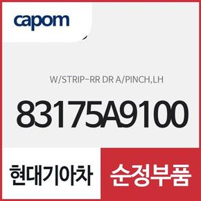 리어 도어 핀치 웨더스트립 (고무몰딩),좌 (83175A9100) 카니발