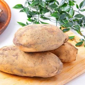 [더조은] 신선한 국내산 연근 (중품) 1kg[35682734]