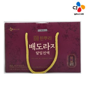 한뿌리 배도라지 달임진액 100ml 10입 도라지한뿌리 대보