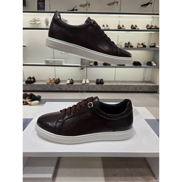 [제주점] 미셸 by 탠디 남성 스니커즈 편한 높이 3cm 운동화 y25038