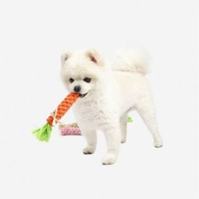 강아지 치실 당근토이 S