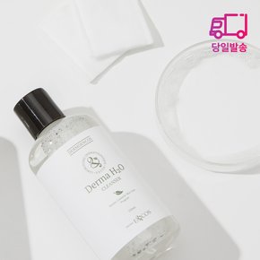 더마H2O 약산성 워터클렌저 250ml